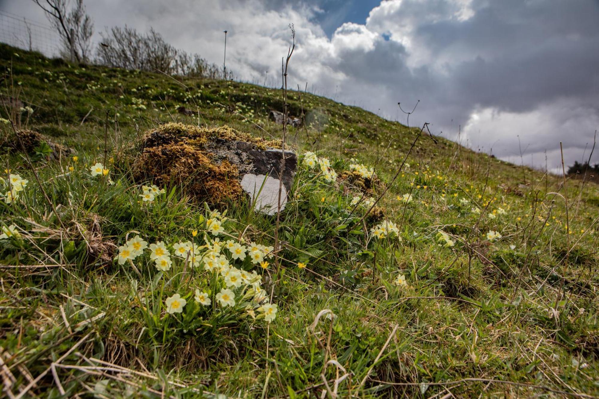 הוילה Edinbane Self Catering - On The Croft At Edinbane מראה חיצוני תמונה